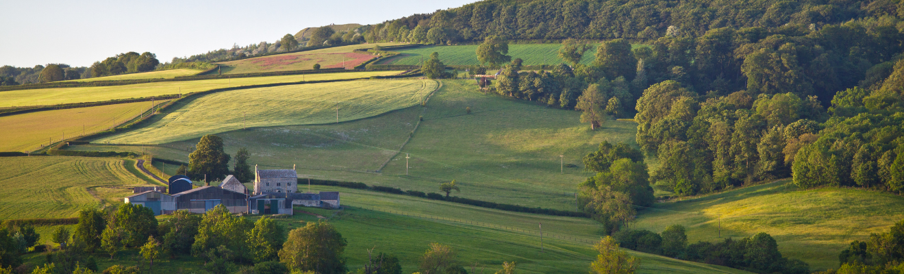 Liquid Gas UK Responds to ESNZ Committee Report on Retrofitting Homes For Net Zro